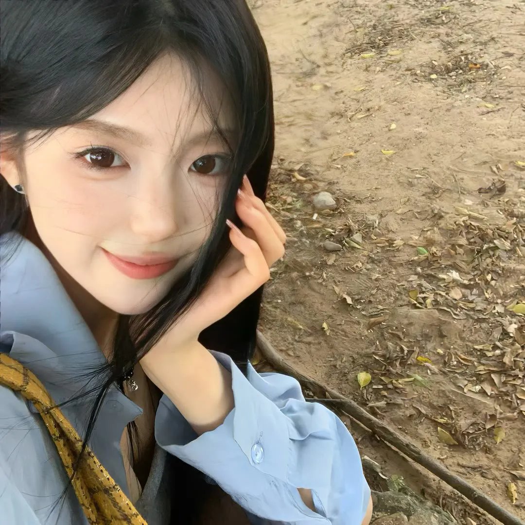 泰迪熊2